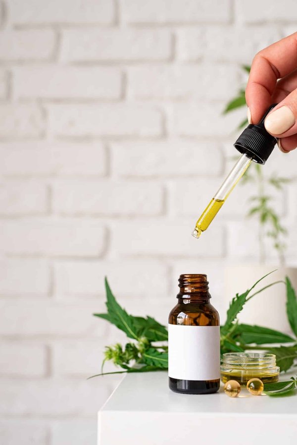 Pourquoi donner du CBD aux animaux ?