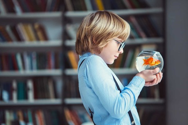 Quels sont les aspects à considérer avant d'acheter un aquarium ?