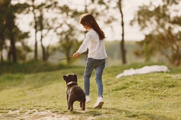 Quels sont les accessoires les plus tendance pour son chien ?