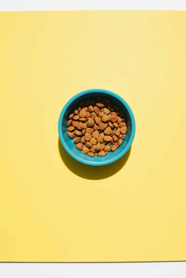 Croquettes françaises pour chiens et chats : Une délicieuse nutrition locale