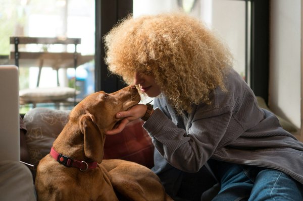 Les bienfaits des croquettes hypoallergéniques pour la santé de votre chien