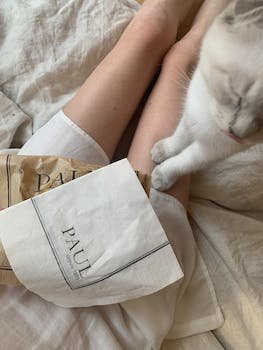 Est-ce que le chat est sale ?